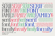 Raiden - Serif font family, a Serif Font by Artistic & Unique (Thumbnail 5 of 13)