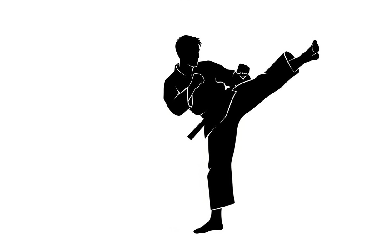 Dynamic martial arts kick silhouette, an Illustration by Amazin_art (Photo 21 of 36)