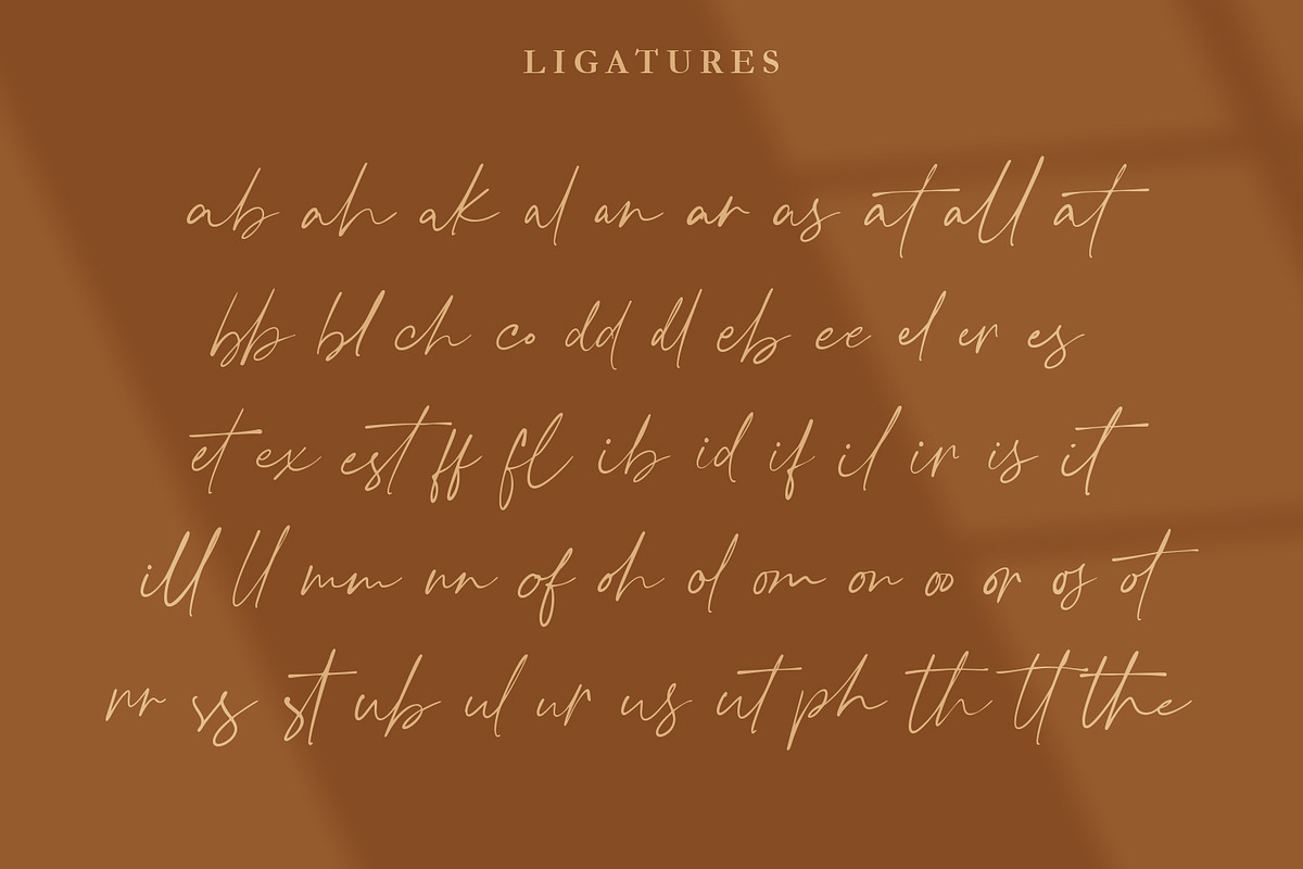 Crimson Foam Stylish Font, a Script Font by Typetemp Studio (Photo 21 of 21)