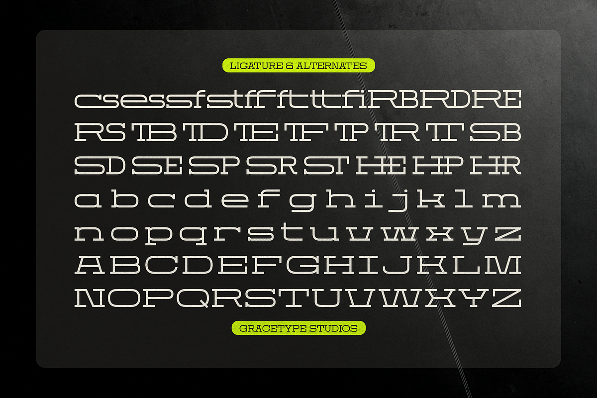 Domesia | Wide Slab Serif, a Slab Serif Font by gracetype_studio (Photo 11 of 12)