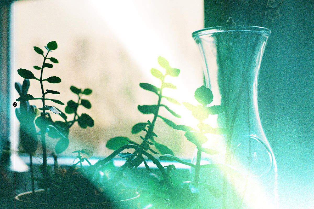 Analog Light Leaks Overlays, a Texture Graphic by Freezerondigital (Photo 13 of 14)