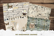 Cabinet of Curiosities junk journal, a Decorative Illustration by meribela (Thumbnail 4 of 7)