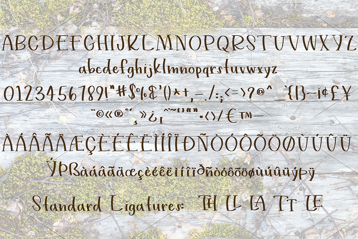 Dylan - A Handwritten Serif Font preview 5