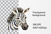 Watercolor zebra clipart, an Illustration by Idressart (Thumbnail 3 of 10)