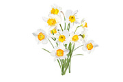 Daffodils Bouquets., an Object Graphic by Peolla (Thumbnail 2 of 9)