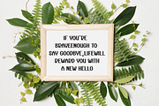 Photo Journey | Script Font, a Script Font by Scratchones (Thumbnail 5 of 8)