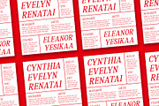 Asthetic Pixel, a Serif Font by Craft Supply Co. (Thumbnail 7 of 8)