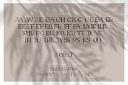 Black Echo Modern Ligature Font, a Font by AndrewPixelType (Thumbnail 12 of 12)