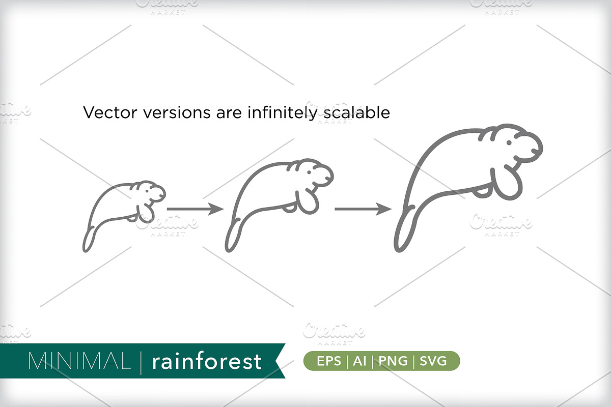 Minimal rainforest icons, an Outline Icon by Picture Window (Photo 4 of 5)