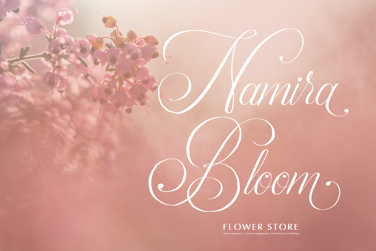 Palmeira Benvello Calligraphy, a Script Font by Denustudios (Photo 6 of 12)