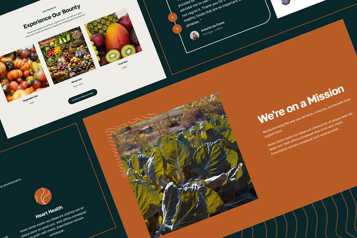 HealthHarvest - Agriculture Website, a Landing Page Template by EGO Creative Innovations (Photo 2 of 5)