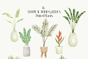 Tropical Boho Garden Plants & Floral, a Decorative Illustration by Catch the Dream Art (Thumbnail 7 of 10)