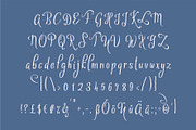 Sthencyl, a Script Font by Digital Typeface Studio (Thumbnail 4 of 6)