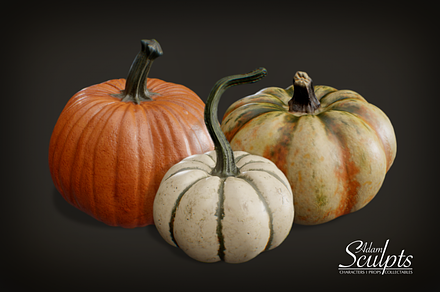 Pumpkin Selection 01, a Food & Drink 3D Model by Adam Sculpts
