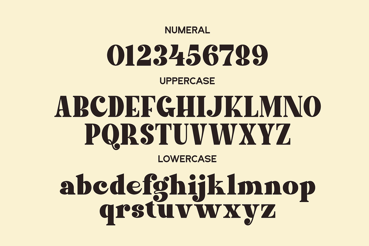 Lacer - Serif Bold Typeface, a Serif Font by MaikoHatta (Photo 10 of 11)