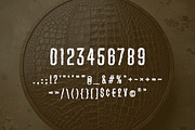 Blade Crown Font Family, a Sans Serif Font by yantodesign (Thumbnail 8 of 8)