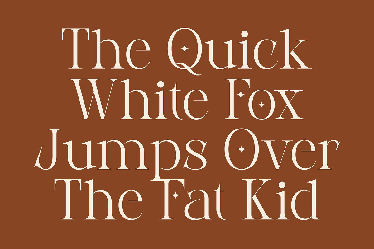 CS Aletris – Modern Serif Font, a Serif Font by Craft Supply Co. (Photo 3 of 8)