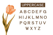 Elemendy, a Sans Serif Font by Rishsketch (Thumbnail 6 of 12)