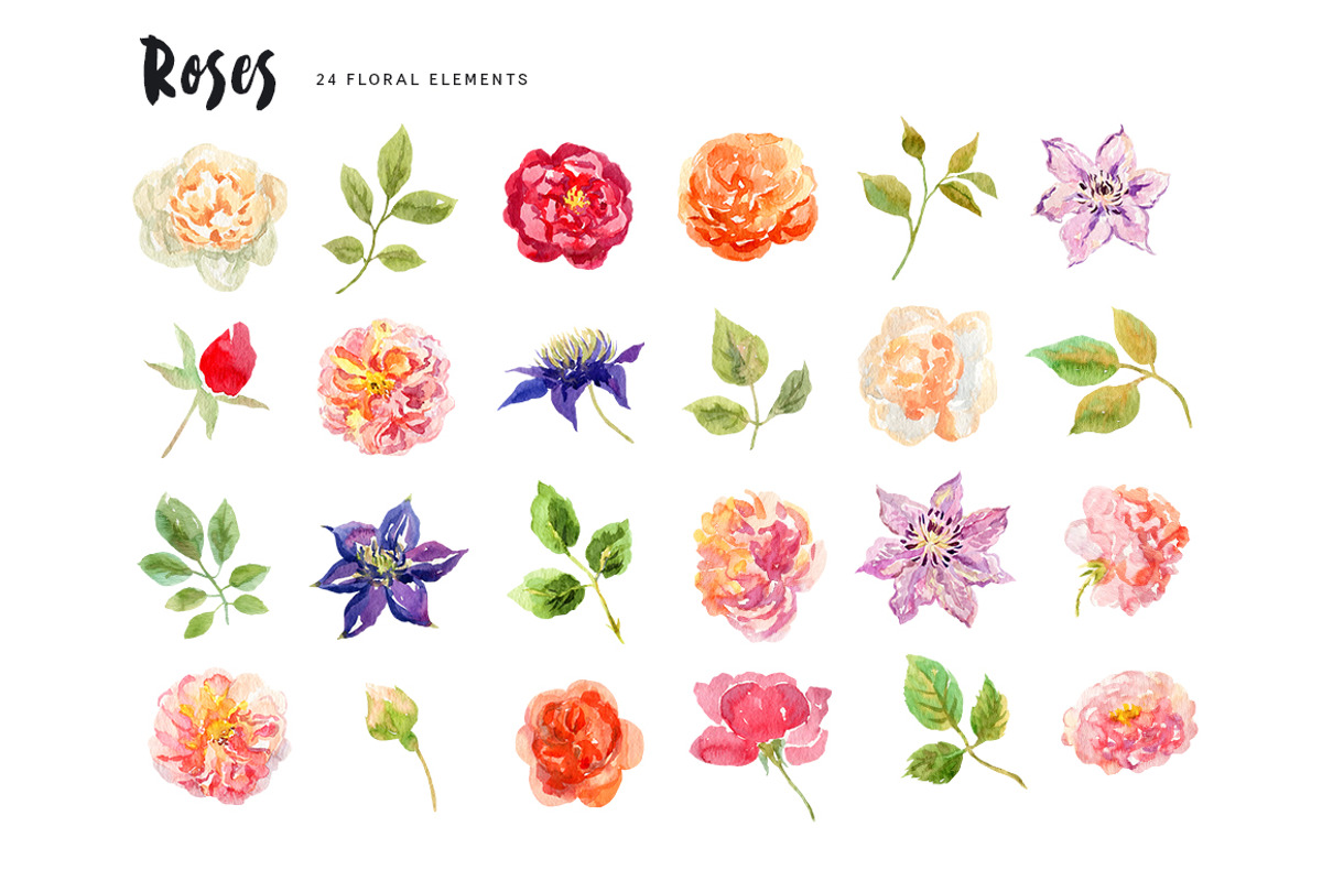 Roses. Watercolor collection, an Illustration by OJardin (Photo 5 of 5)