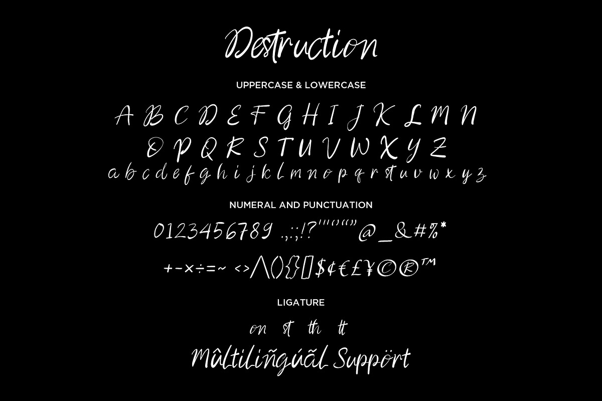 Destruction - Modern Script fonts, a Script Font by Nahar_std (Photo 8 of 8)