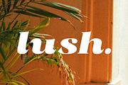 Radiant Charisma - Serif Family, a Serif Font by Prioritype Co (Thumbnail 9 of 10)