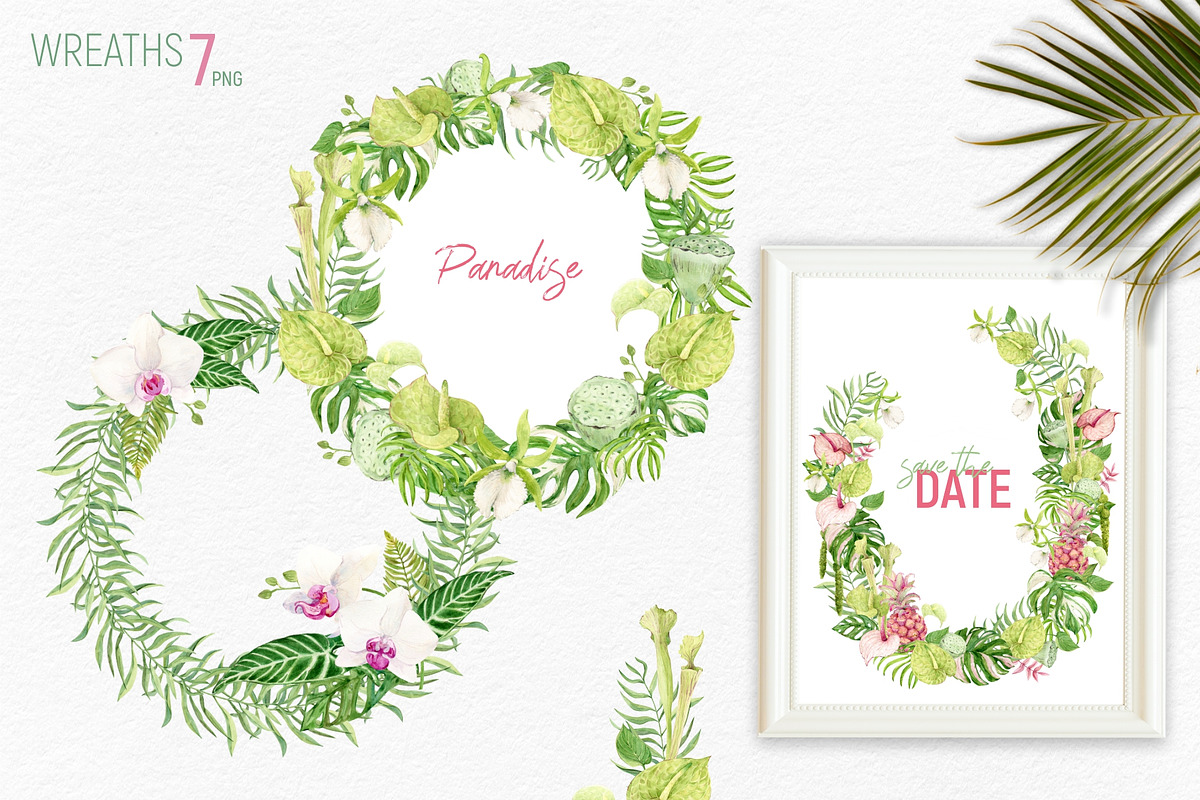 Tropical Flowers. Exotic flora set, an Illustration by Tata Pilip (Photo 6 of 21)