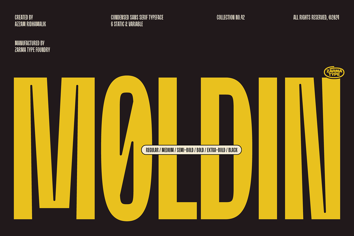 Moldin - Condensed Sans Serif Font, a Sans Serif Font by Zarma Type (Photo 1 of 12)