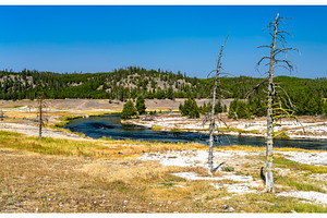 Firehole River and dead trees in, a Nature Photo by Leonid Andronov