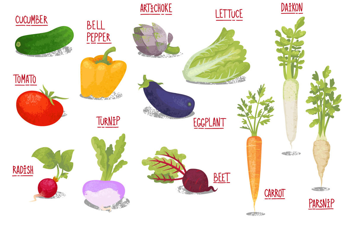 Vector Vegetables, a Food Illustration by KatPush