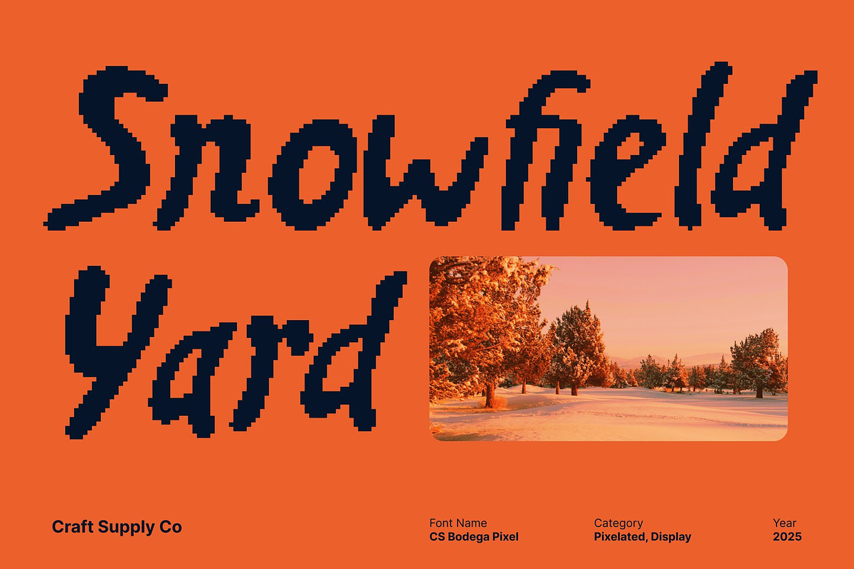 CS Bodega Pixel, a Handwritten Font by Craft Supply Co. (Photo 2 of 8)
