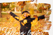 100 Leaves Photo Overlays PNG