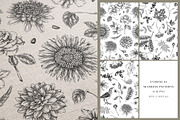 Autumn Heritage Botanical Collection, a Seasonal Illustration by Yevheniia (Thumbnail 12 of 13)