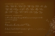 Wisteria Notes - Modern Script Font, a Script Font by Letterhend Studio (Thumbnail 9 of 9)