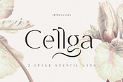 Cellga Typeface, a Sans Serif Font by alit design (Thumbnail 1 of 17)