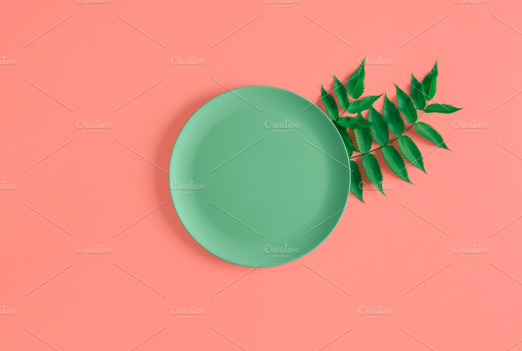 Empty plate and green leaves on a co, a Food & Drink Photo by YesPhotographers