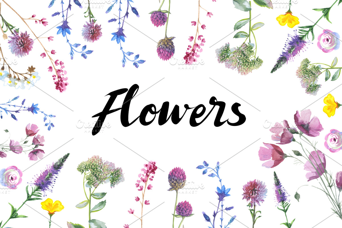 Wild Flowers watercolor PNG set, a Decorative Illustration by WatercolorPNG.com (Photo 3 of 13)
