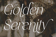 Stivra – Serif Font Family, a Serif Font by NDNL Studio (Thumbnail 5 of 11)