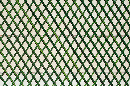 Green wooden lattice wall stock photo containing lattice and green, an Arts & Entertainment Photo by Deyan Georgiev