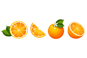 Orange fruit collection, a Food Illustration by Elen_Art