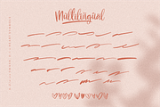 Blushon Brush Script, a Script Font by 24Design Studios (Thumbnail 9 of 9)