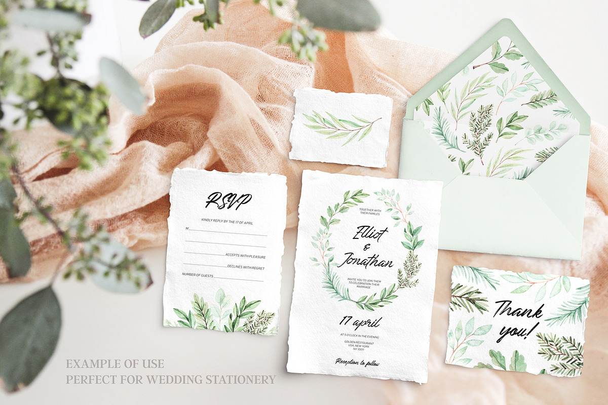 Elegant eucalyptus & fir branches, a Decorative Illustration by Kate Macate (Photo 2 of 6)