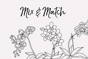 Inked Orchid Illustration Collection, an Illustration by Hannah Eliza Studio (Thumbnail 3 of 4)