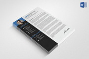 Professional Resume/CV, a Resume Template by graphicforest (Thumbnail 5 of 5)