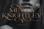 Proyale - Elegant & Stylish Serif, a Serif Font by Sarid Ezra (Thumbnail 9 of 10)