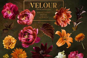 Velour Floral Clip Art Collection