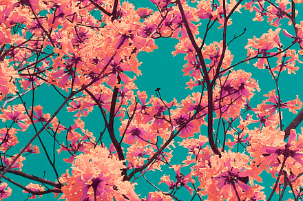 Colorful Floral Leaves Background, a Nature Photo by DanFLCreativo
