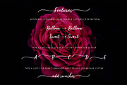 Calligraphy Script Brooklyn Heights, a Script Font by Mila Garret (Thumbnail 8 of 8)