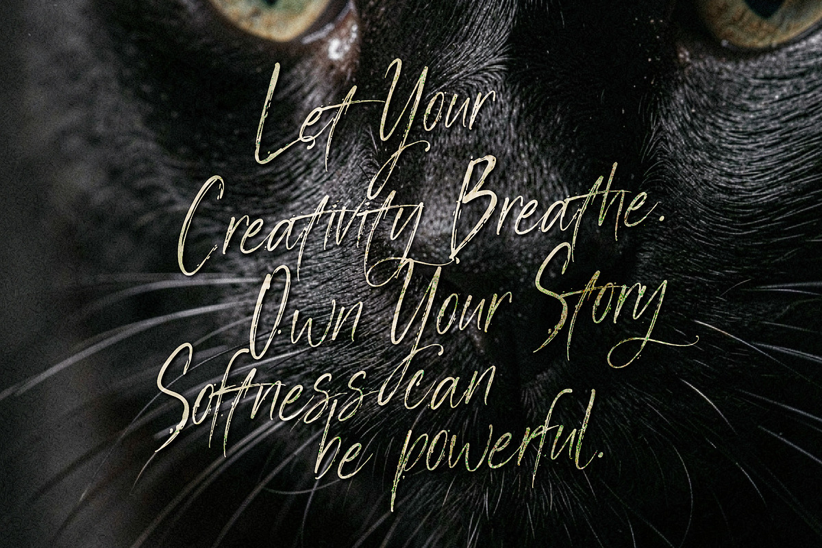 Manstera Leviosa - Expressive Script, a Script Font by HypeWorksCo (Photo 12 of 15)