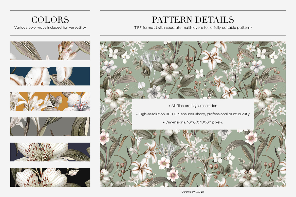 Botania | Botanical Floral Patterns, a Pattern Graphic by LEAFure (Photo 2 of 10)