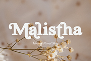 Summer Paradise, a Serif Font by DYSA Studio (Thumbnail 7 of 14)